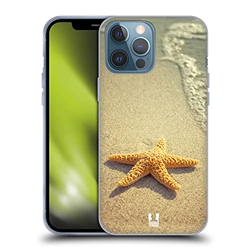 Starfish By The Shore