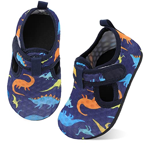 C Bluedinosaur