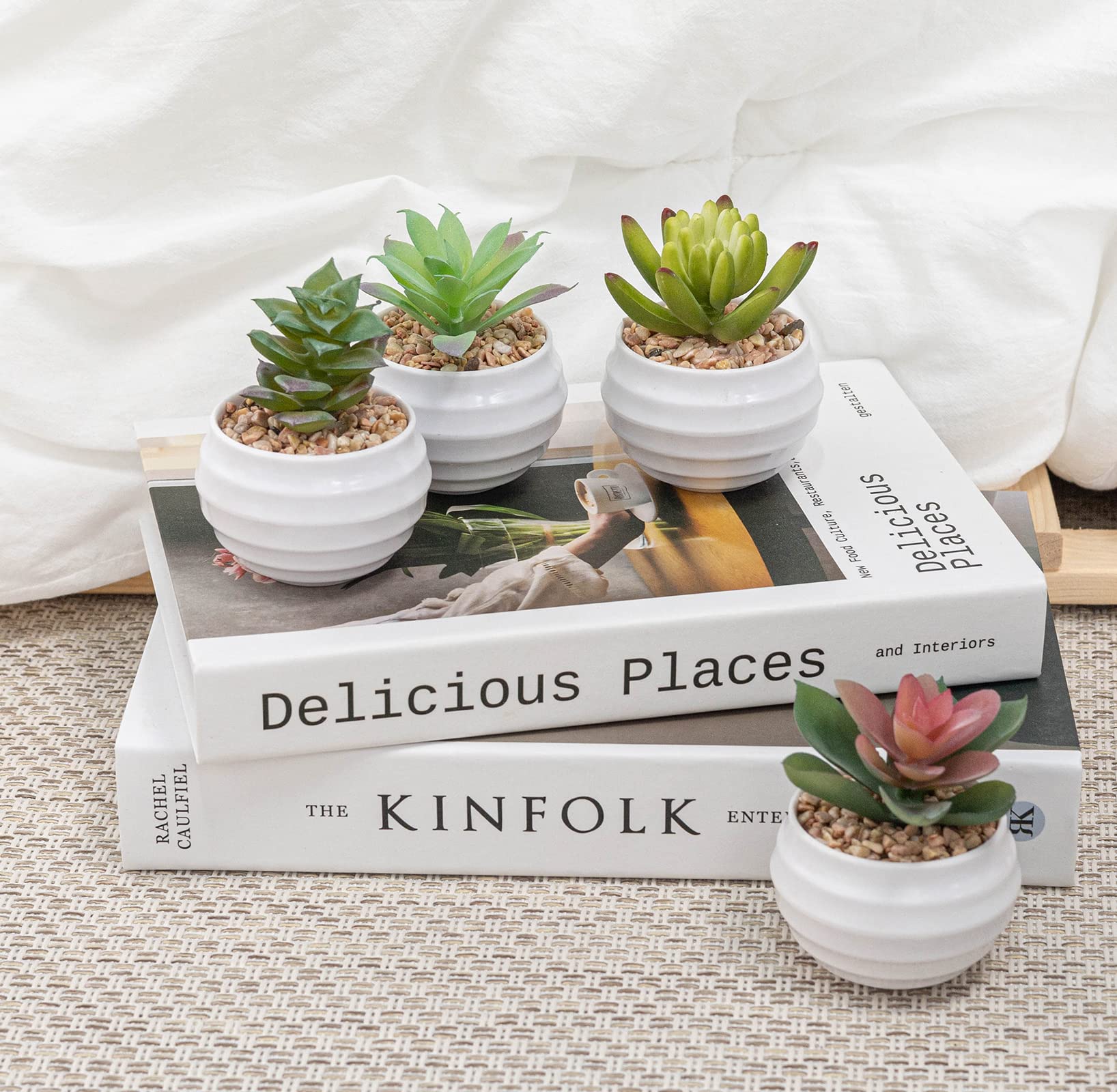 Premium Artificial Succulent Plants in Pots - Set of 4 Fake Cacti & Faux Succulents for Home, Office & Indoor Decor - Low Maintenance Desk Plants for Living Room, Bathroom & Workspace Decorations