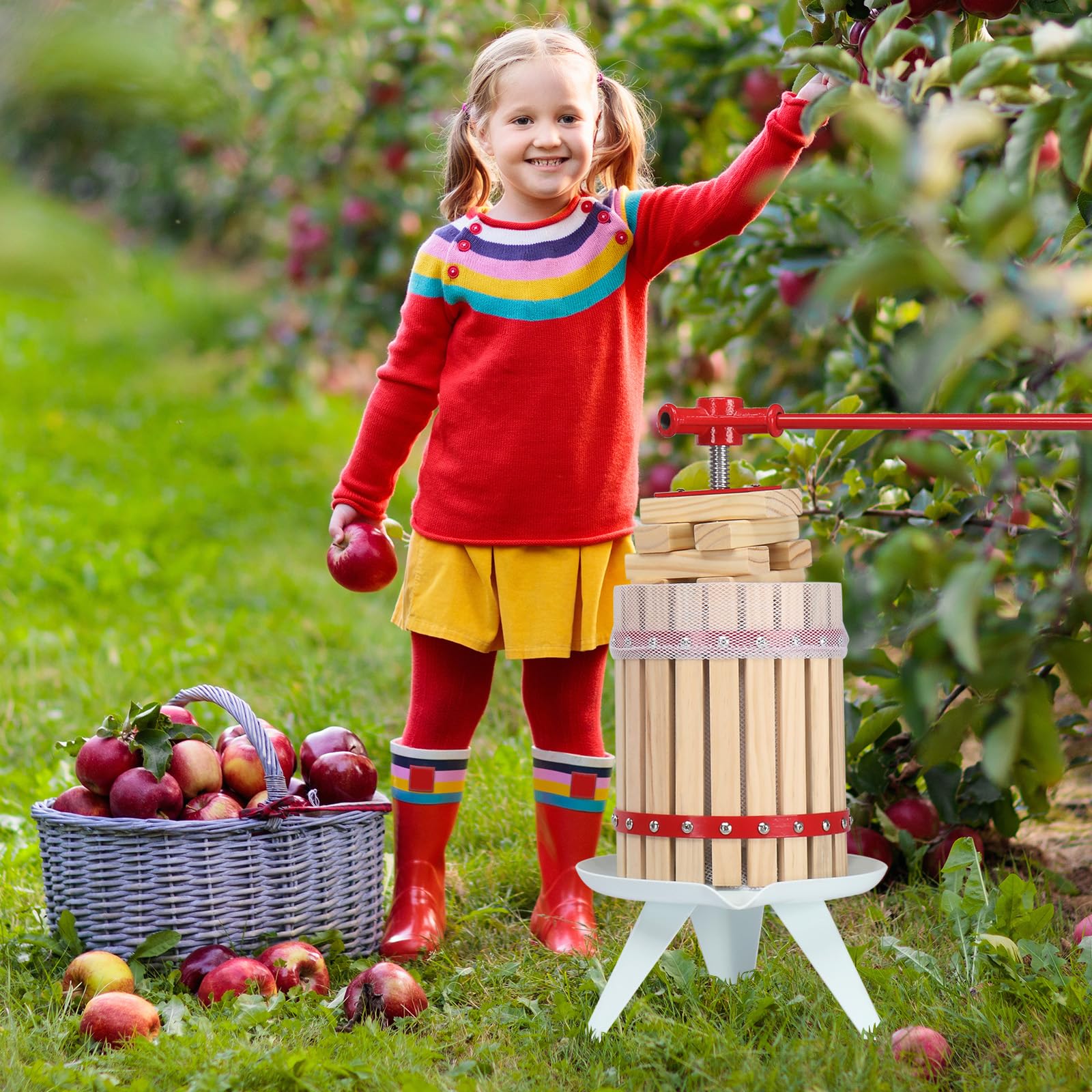 1.6 Gallon Solid Wood Fruit Wine Press - Manual Juice Maker for Apple, Grape & Berries - Home Cider & Wine Making Kit with 6 Blocks - Perfect for Kitchen, Homemade Juice & Craft Brewing