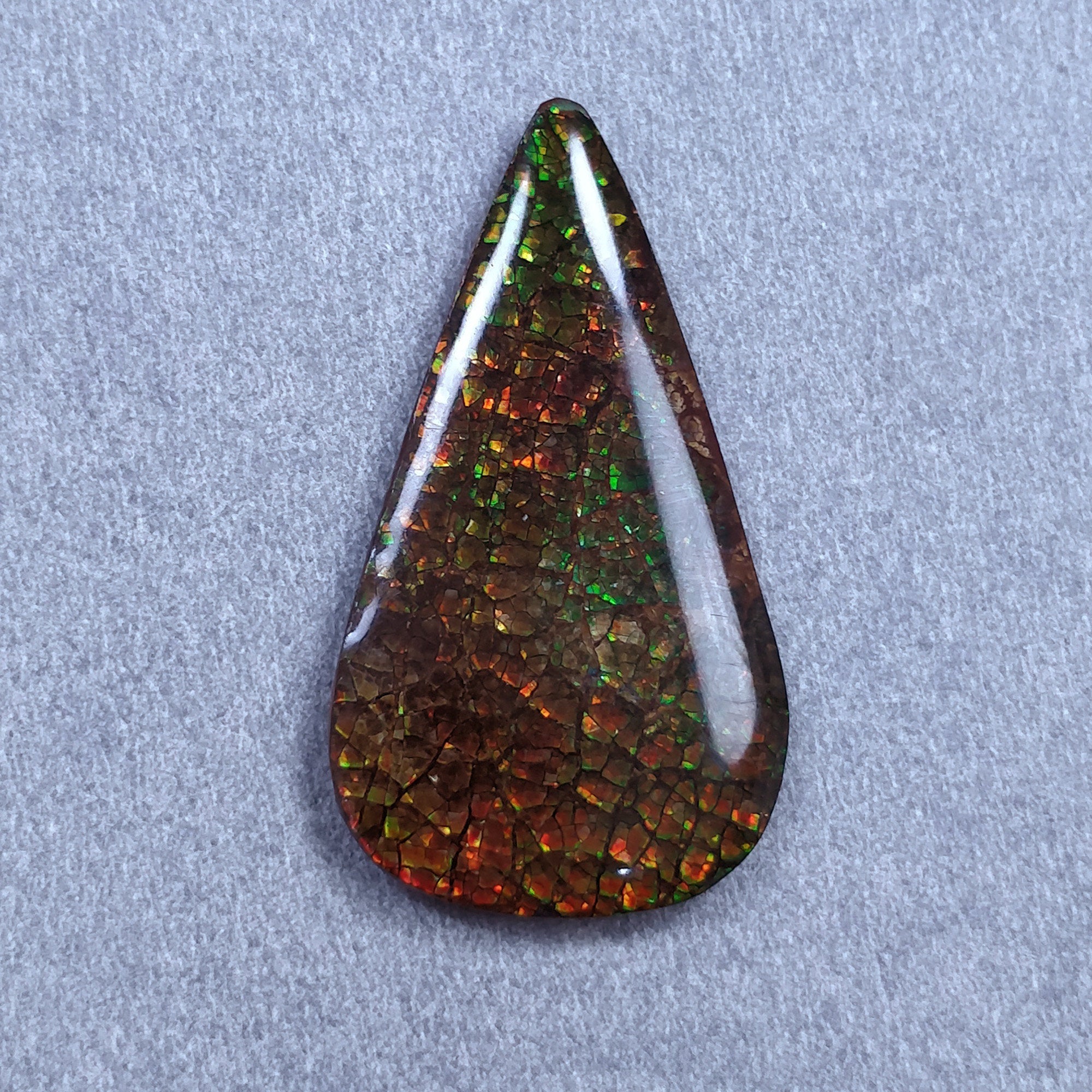 Natural Ammolite Gemstone Cabochon - 19.00cts Bi-Color Fossilized Shell Pear Shape (35x19mm) | Jewelry Making, Pendant, Ring Setting | With Authenticity Video