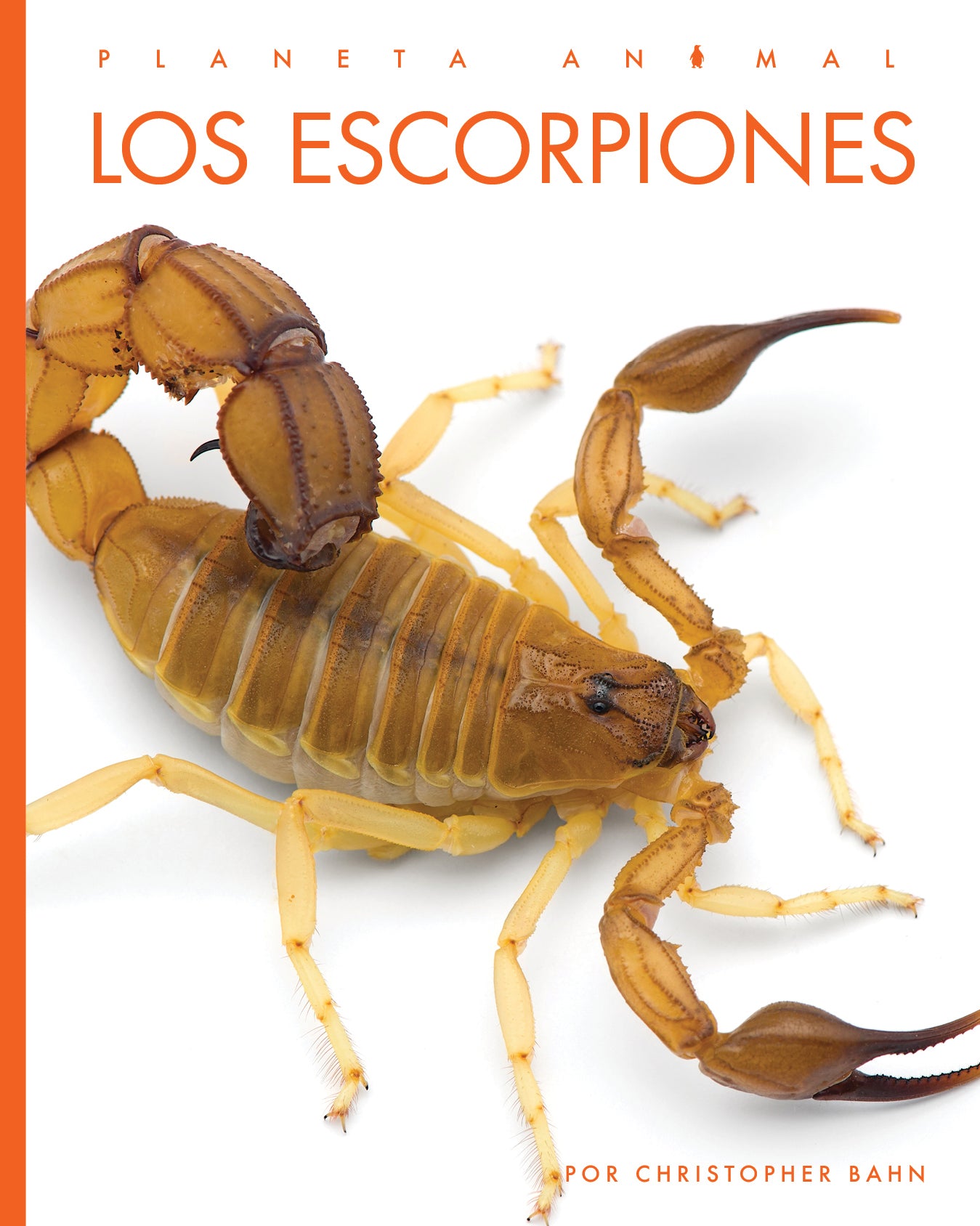 Scorpions Planet Animal 2025 - Exotic Pet Terrarium Decor & Unique Wildlife Collectible for Reptile Lovers