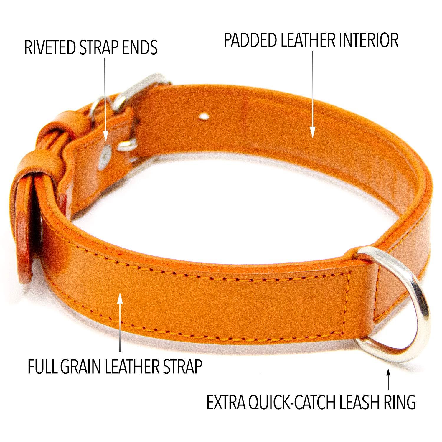 Premium Full Grain Leather Dog Collar - Padded Comfort for Medium Dogs, Adjustable & Durable (Orange, Medium) | Perfect for Walks, Training & Everyday Use