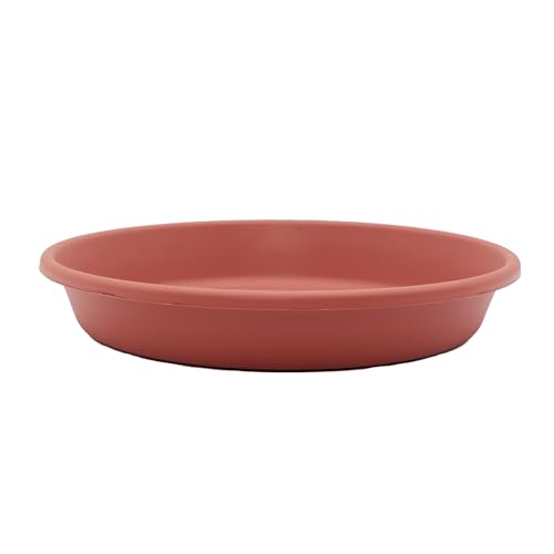 Clay