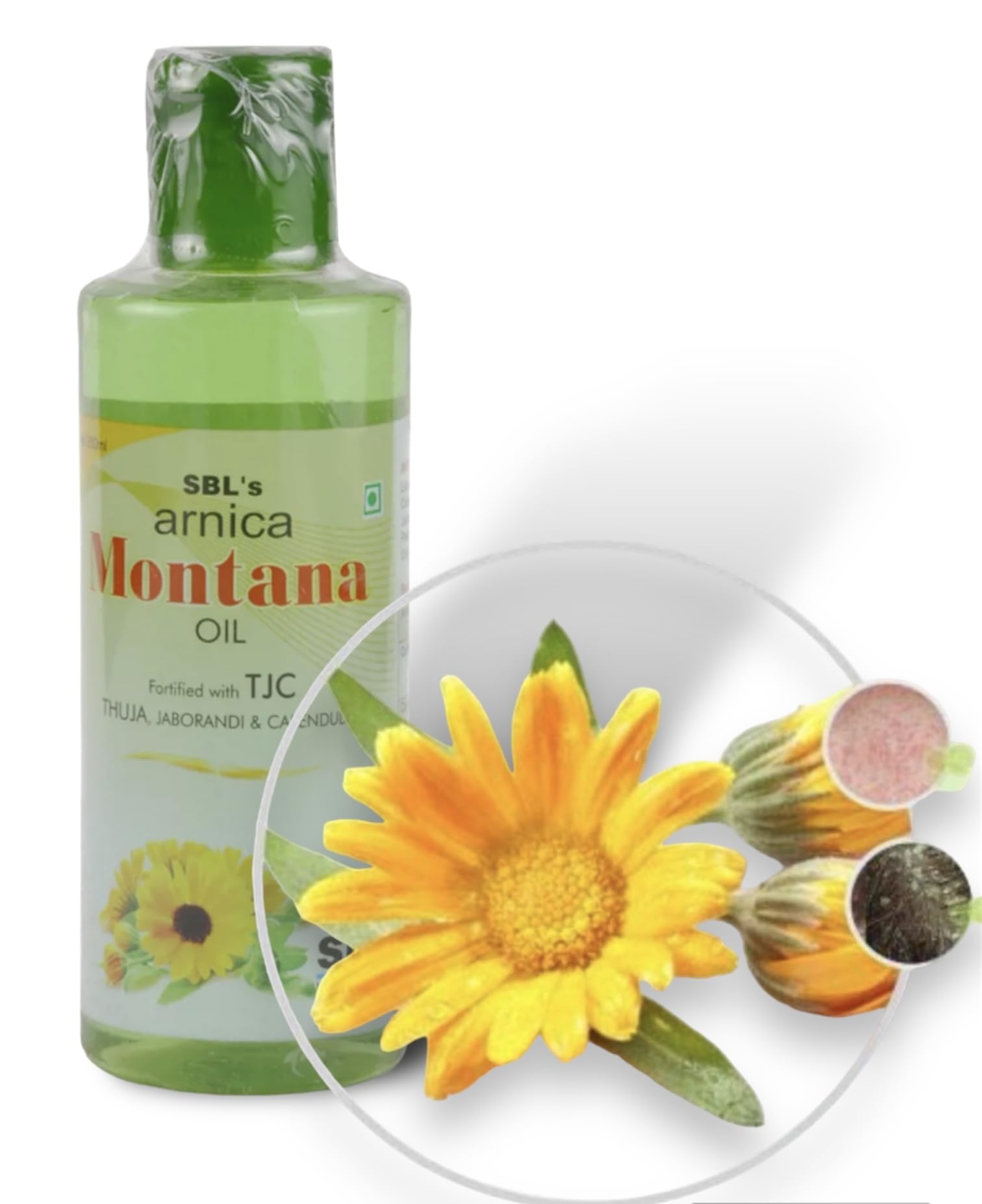 Buy SBL Arnica Montana Hair Oil 100ml - Pack of 4 Bottles | Natural Hair Growth Treatment for Thicker, Healthier Hair | Perfect for Daily Scalp Massage & Hair Care Routine