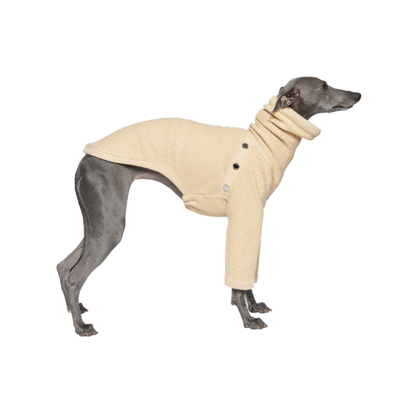 Hampton Sweater for Women & Men - Cozy Knit Pullover for Fall & Winter - Perfect for Casual Wear, Office, and Outdoor Activities