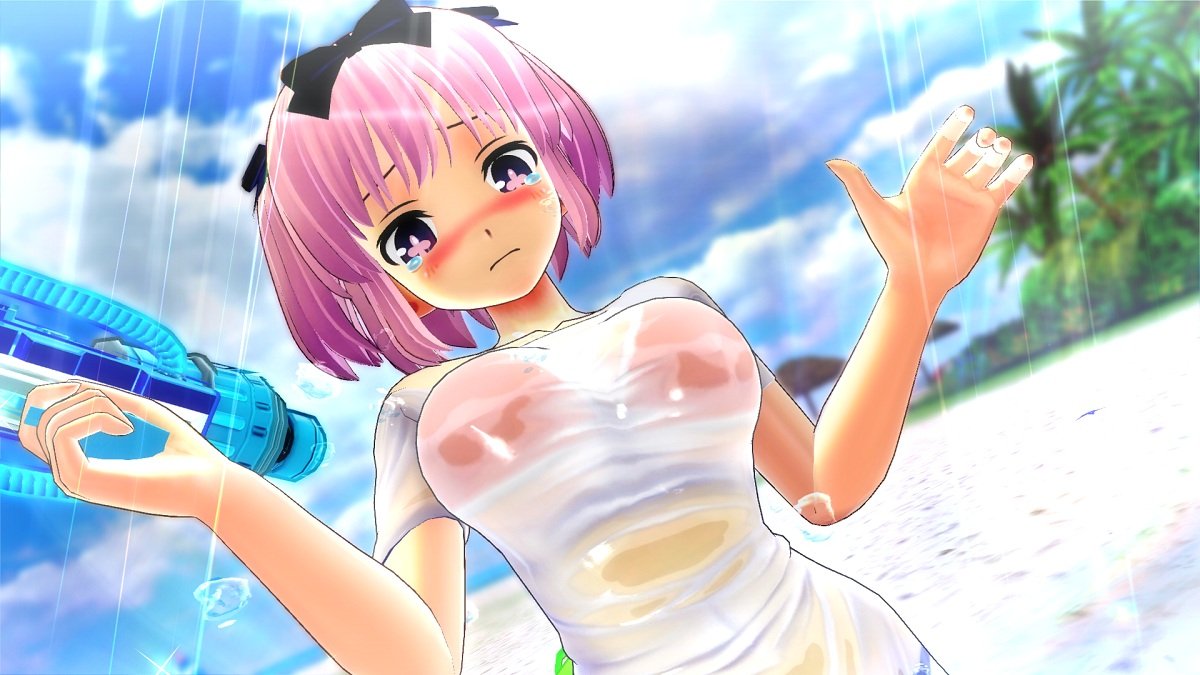 Senran Kagura: PEACH BEACH SPLASH Nyuu Nyuu DX Pack for PS4 - Includes Early Bird Bonus Cleaning Maid Splash Set with Illustrated Code Card | Anime Beach Volleyball Game for Fans | Perfect for Gaming Nights & Anime Collections