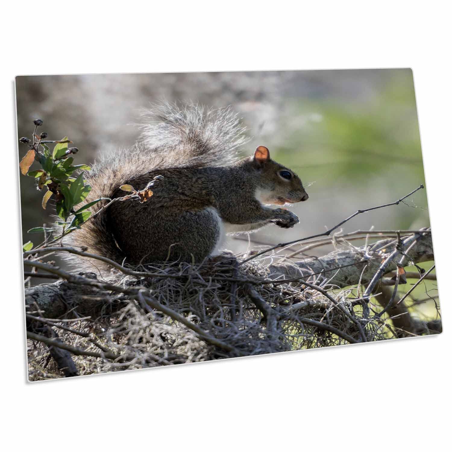 3D Rose Squirrel Eating in Oak Tree Desk Pad Place Mats Set of 4 - Non-Slip Table Protector for Dining Room, Kitchen, Office - DPD-230551-1
