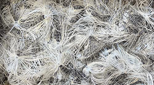 Threadfin Shad