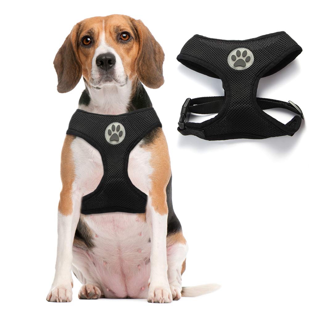BINGPET Lightweight Breathable Mesh Dog Vest Harness - Adjustable Padded Pet Harness for Small Dogs - Perfect for Walking, Running & Outdoor Adventures