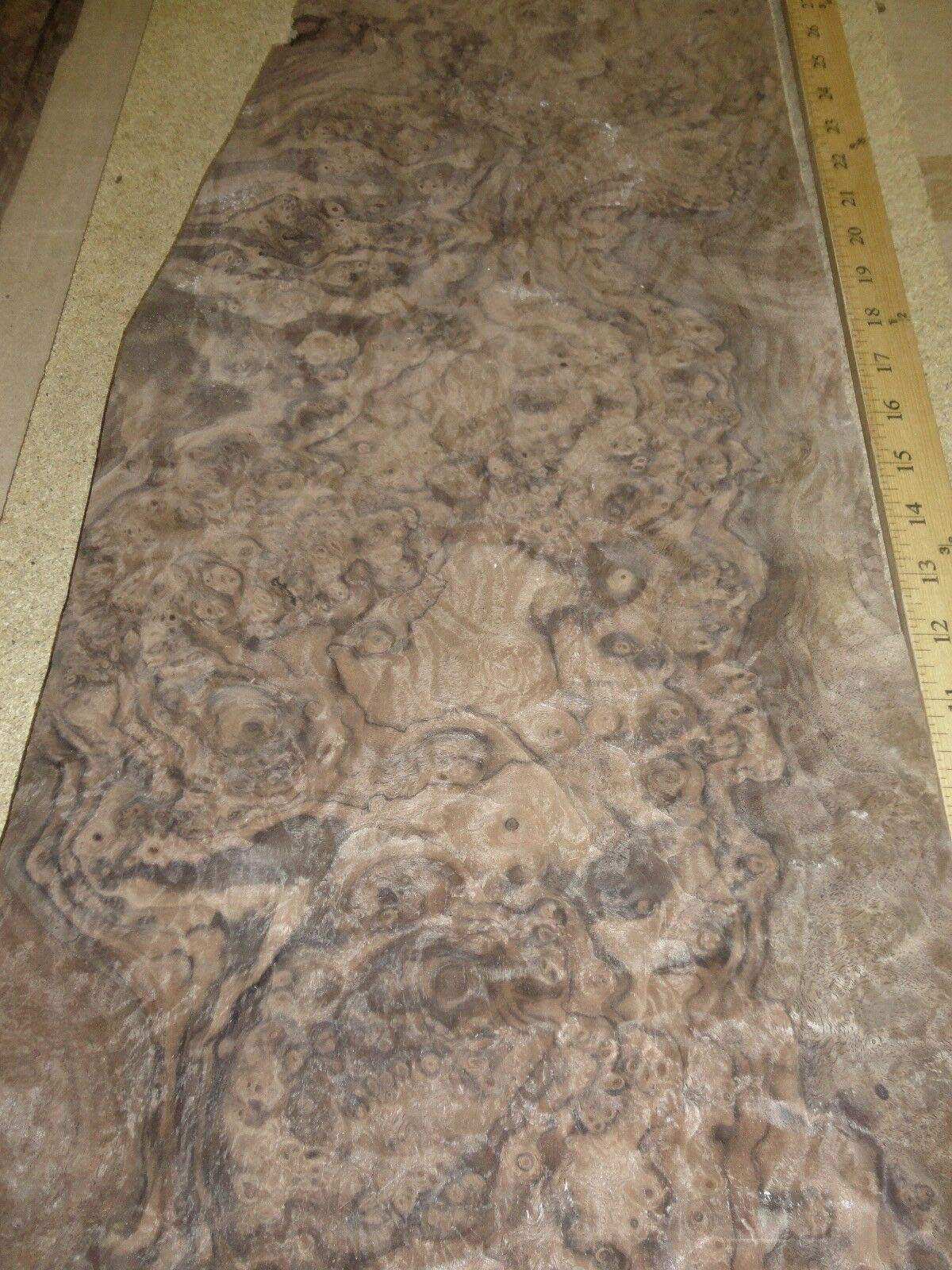 Premium AAA Grade Walnut Burl Wood Veneer - 11