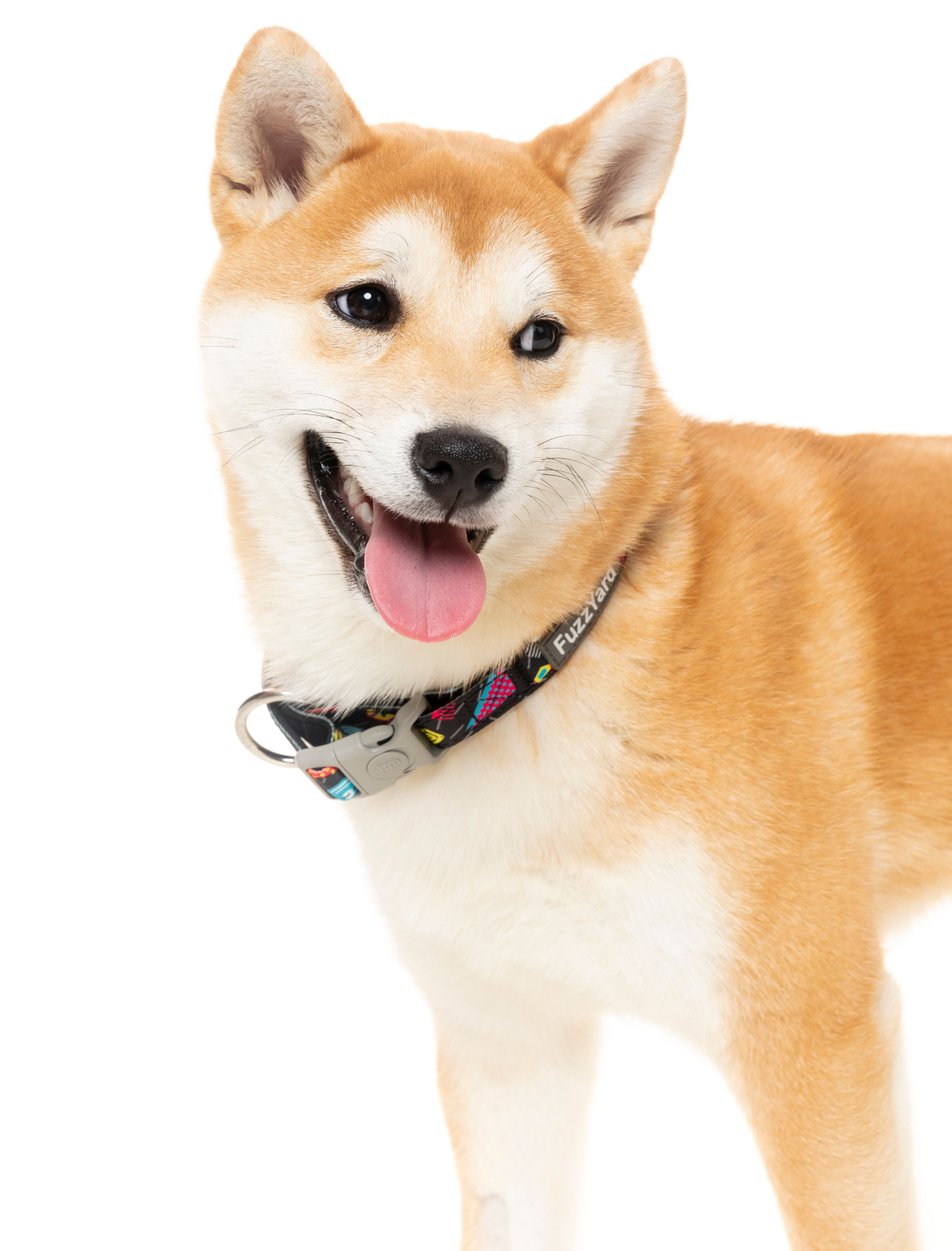 FuzzYard Bel Air Pet Dog Collar - Adjustable & Stylish for Small, Medium, Large Dogs - Perfect for Daily Walks, Training & Outdoor Adventures