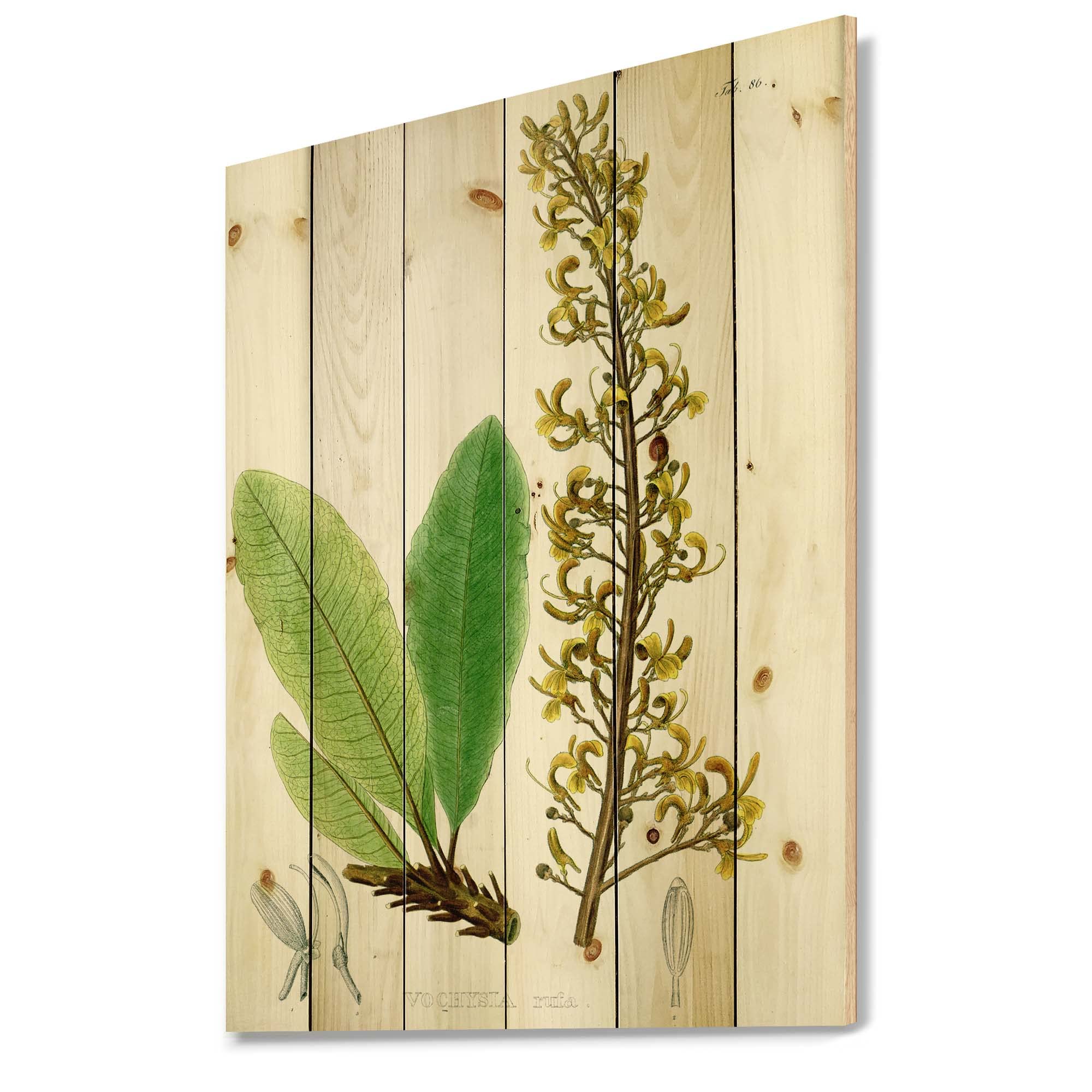 Vintage Brazilian Plant Ivy Traditional Wood Wall Decor - Large Floral Wood Wall Art Panel Printed on Natural Pine - Home Decor for Living Room, Bedroom, Office