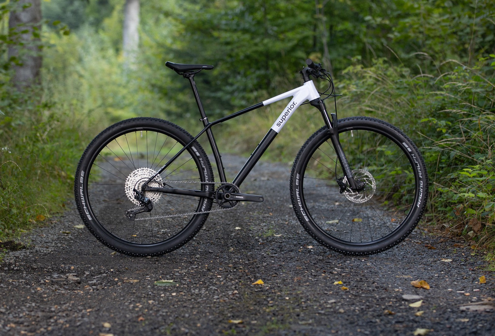 Premium XP 6.2 Mountain Bike for Adults - Lightweight Aluminum Frame, 21-Speed Gears, Dual Disc Brakes - Perfect for Trail Riding, Commuting & Outdoor Adventures