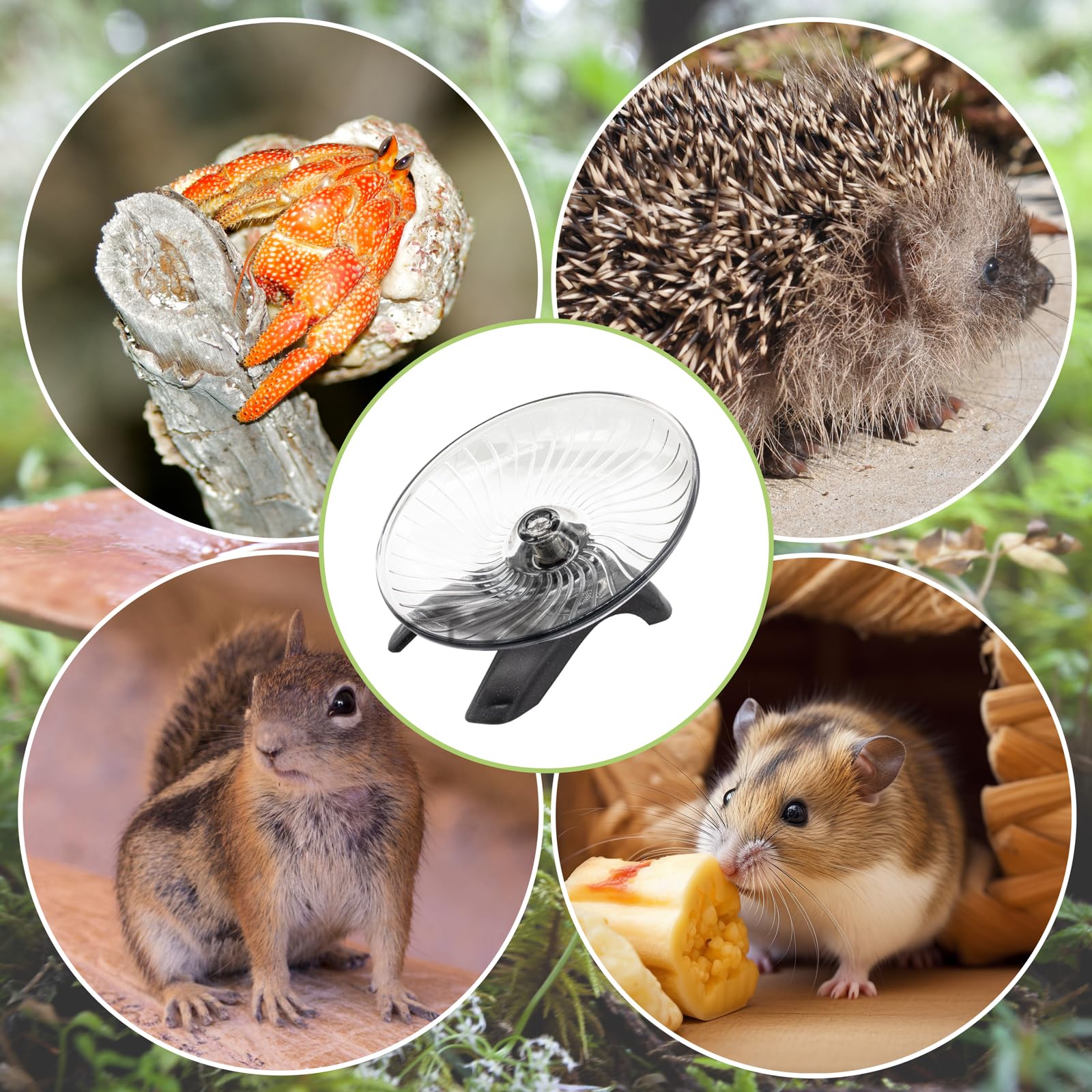 Silent Hermit Crab Exercise Wheel - Small Animal Running Wheel for Crab Tank, Hamster, Gerbil & Hedgehog Accessories - Perfect for Nocturnal Pets & Terrarium Enrichment