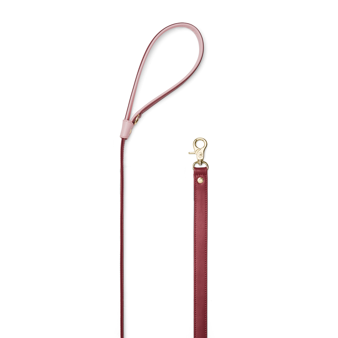 Premium Maroon & Pink Dog Leash - Strong Durable Nylon Pet Lead for Small Medium Large Dogs - Perfect for Walking, Training, and Outdoor Adventures