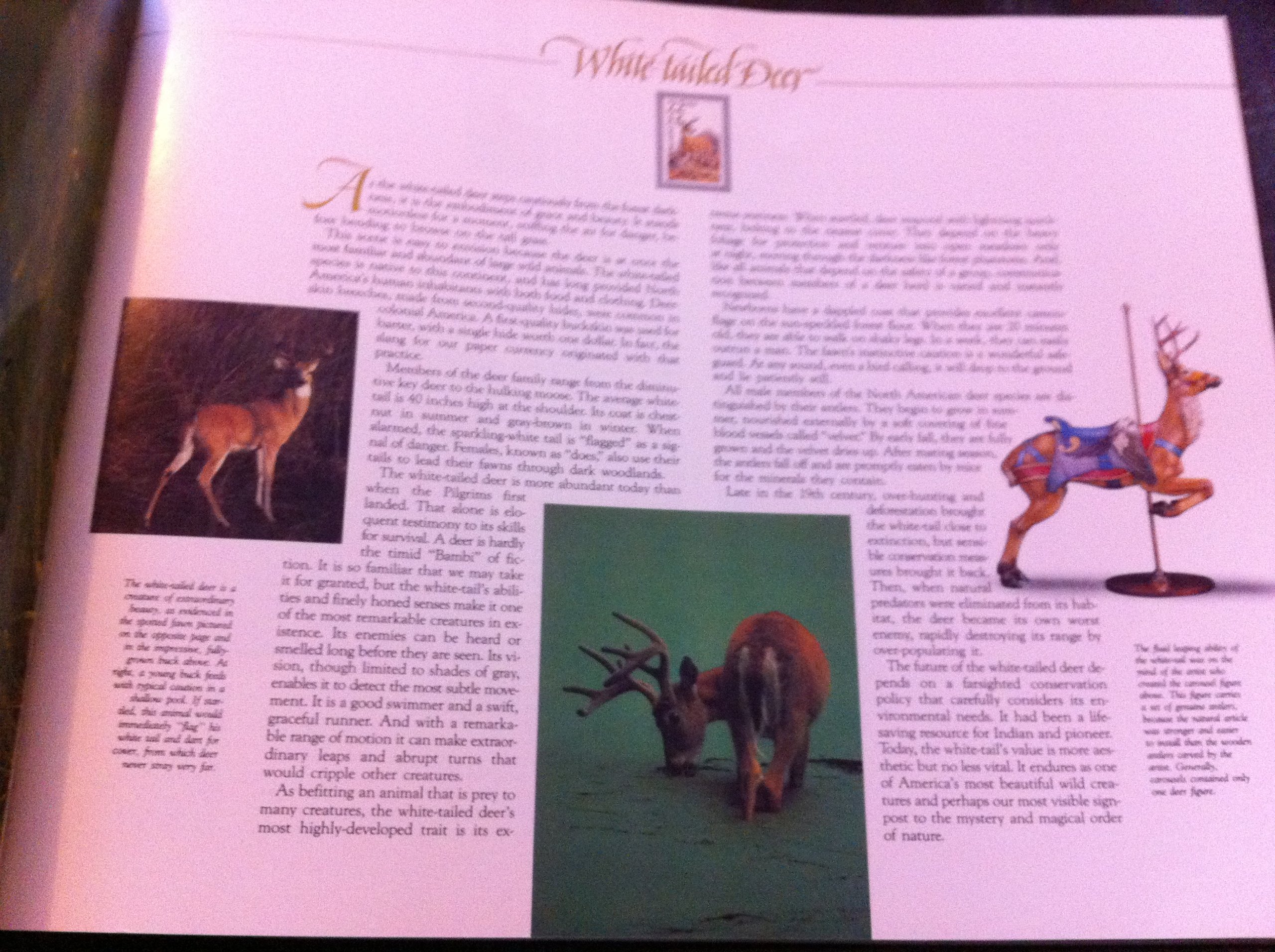 Wildlife America: U.S. Commemorative Stamps Collection | Perfect for Stamp Collectors, Philatelists & Nature Enthusiasts