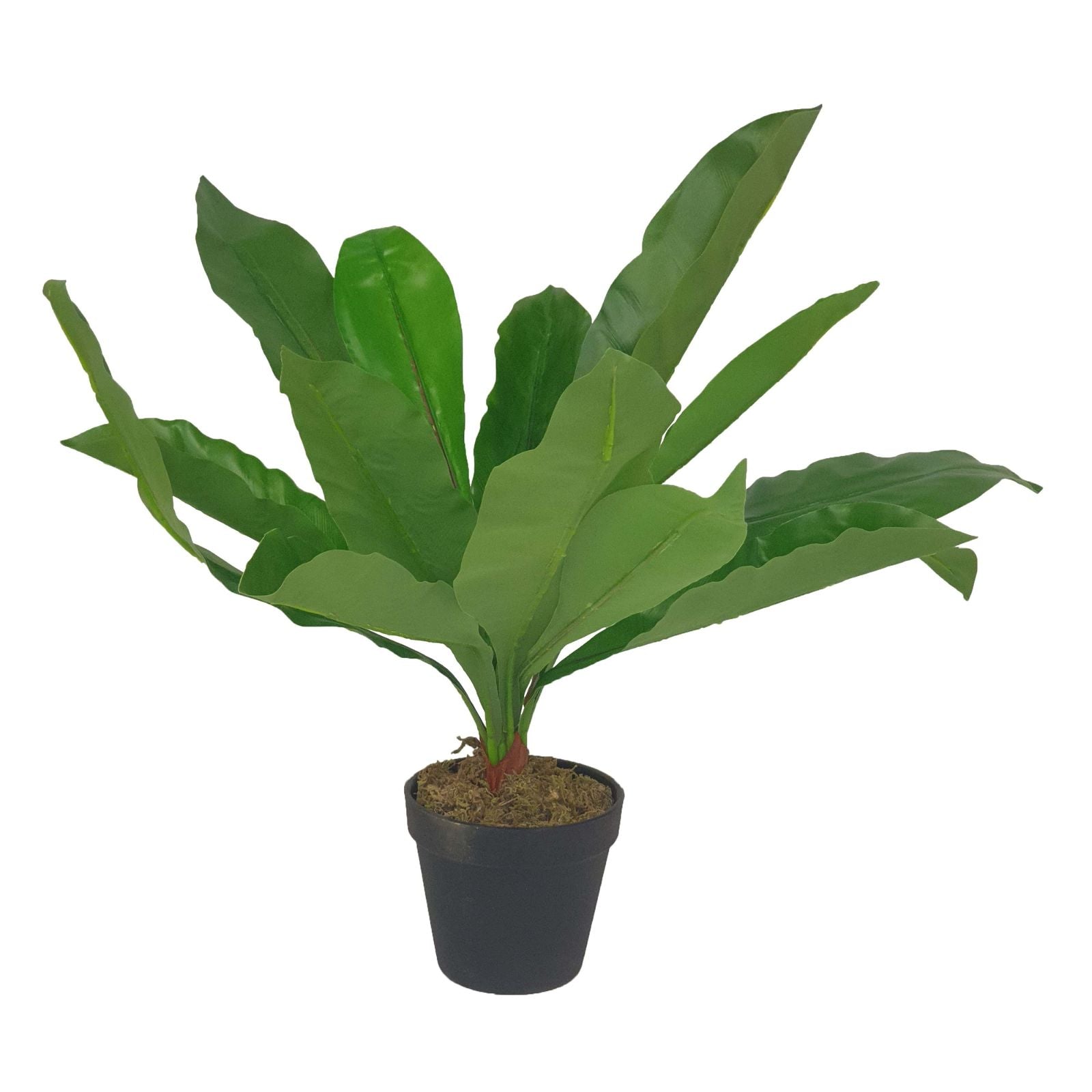 43cm Broad Leaf Artificial Plant by Criterion - Perfect for Home Office Decor, Living Room Centerpiece & Indoor Greenery Enhancement