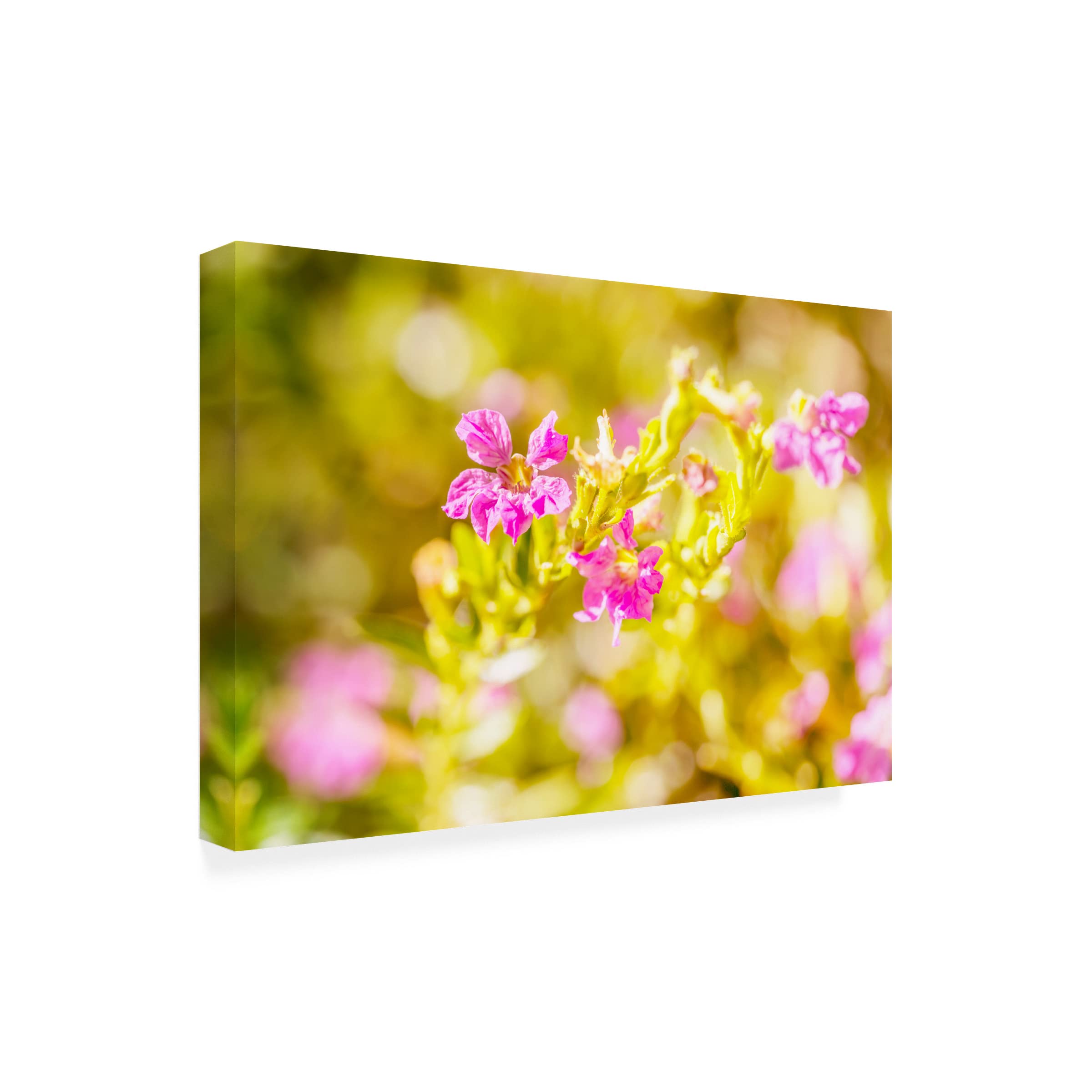 Triumphant Golden Spring 06 Canvas Wall Art by Eva Bane - 16x24 Inches Handmade Painting for Living Room, Bedroom & Office Decor