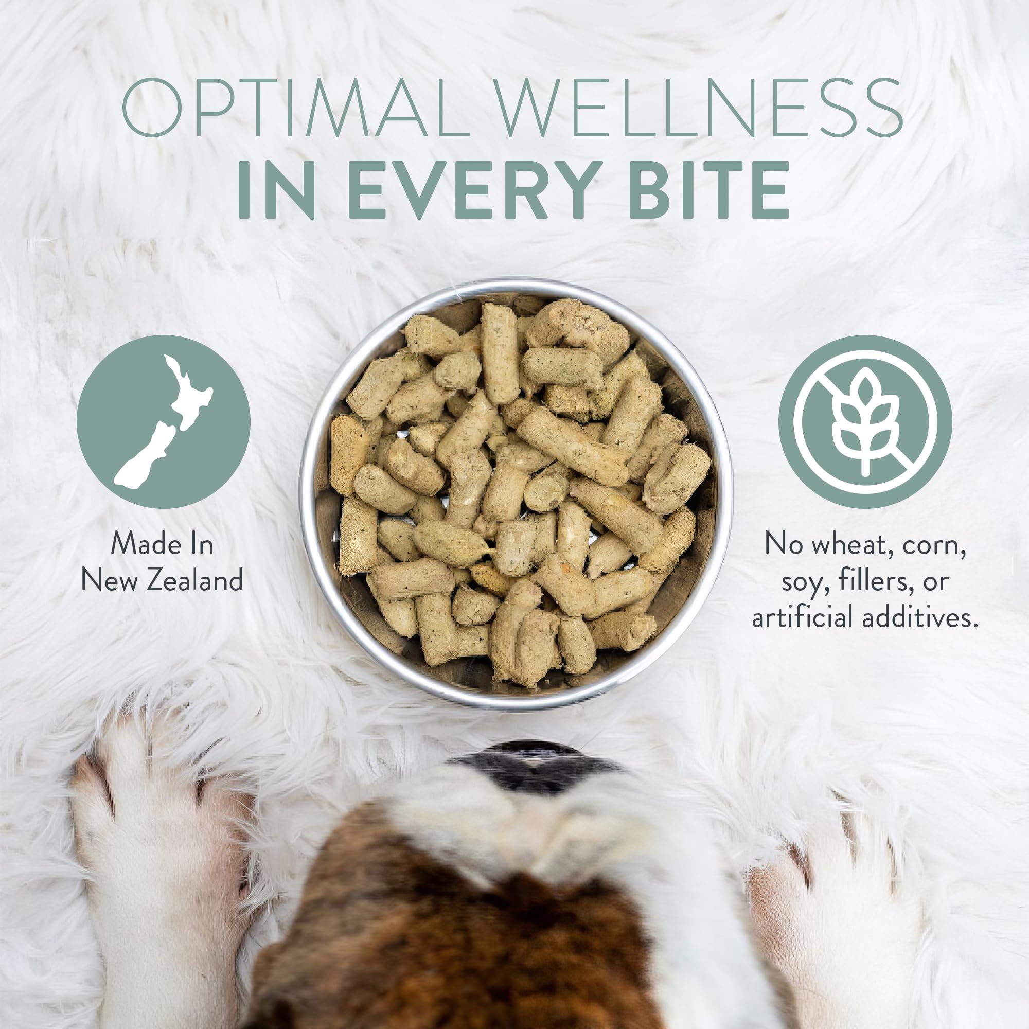WOOF Freeze Dried Dog Food - Chicken Recipe, High Protein Dog Treats & Snacks, Grain-Free Dog Food Toppers & Meals, 2.2 lb - Perfect for Training, Travel & Daily Nutrition for Small to Large Dogs
