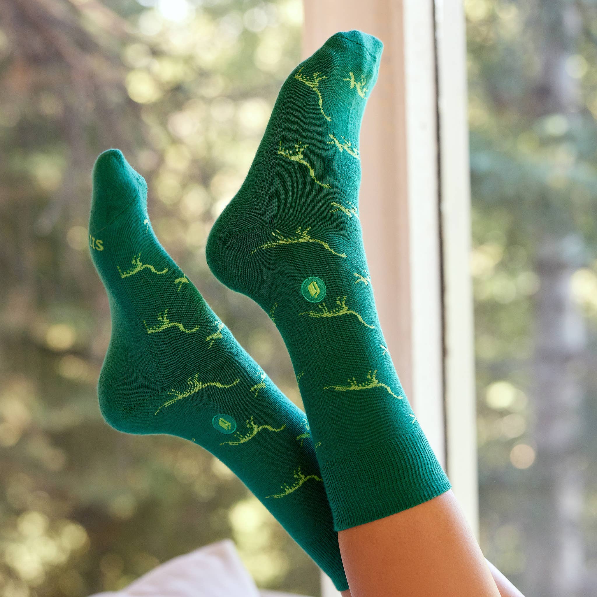 Green Dinosaur Socks That Give Books - Fun & Comfortable Novelty Socks for Kids, Perfect for Reading Time & Playdates
