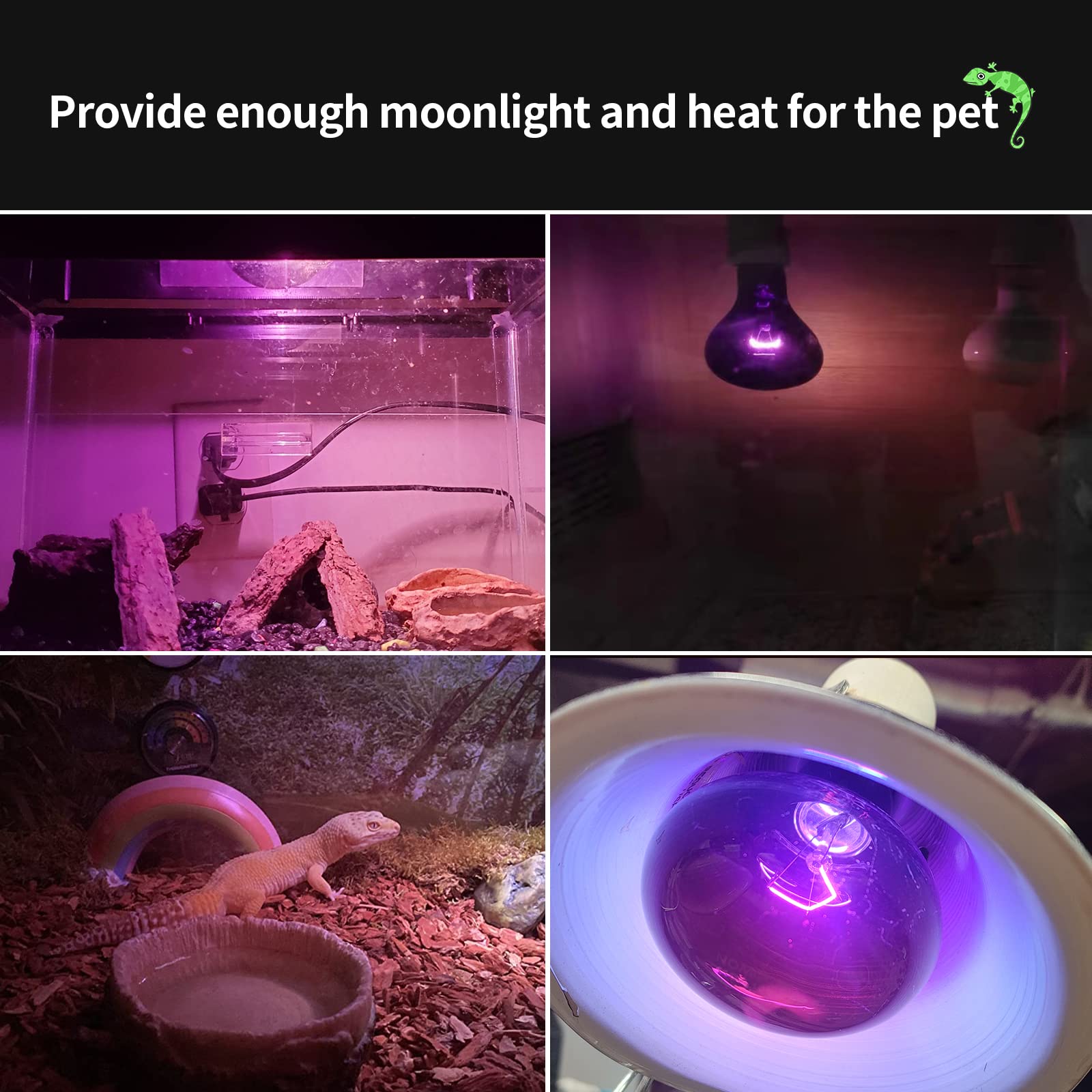 75W Infrared Heat Lamp Bulb - UVA Reptile Heating Light for Lizards, Tortoises, Snakes, Chameleons & Spiders - Moonlight Bulb for Terrariums & Nighttime Heating (2-Pack) - Perfect for Reptile Tanks, Amphibian Habitats & Nocturnal Pet Care