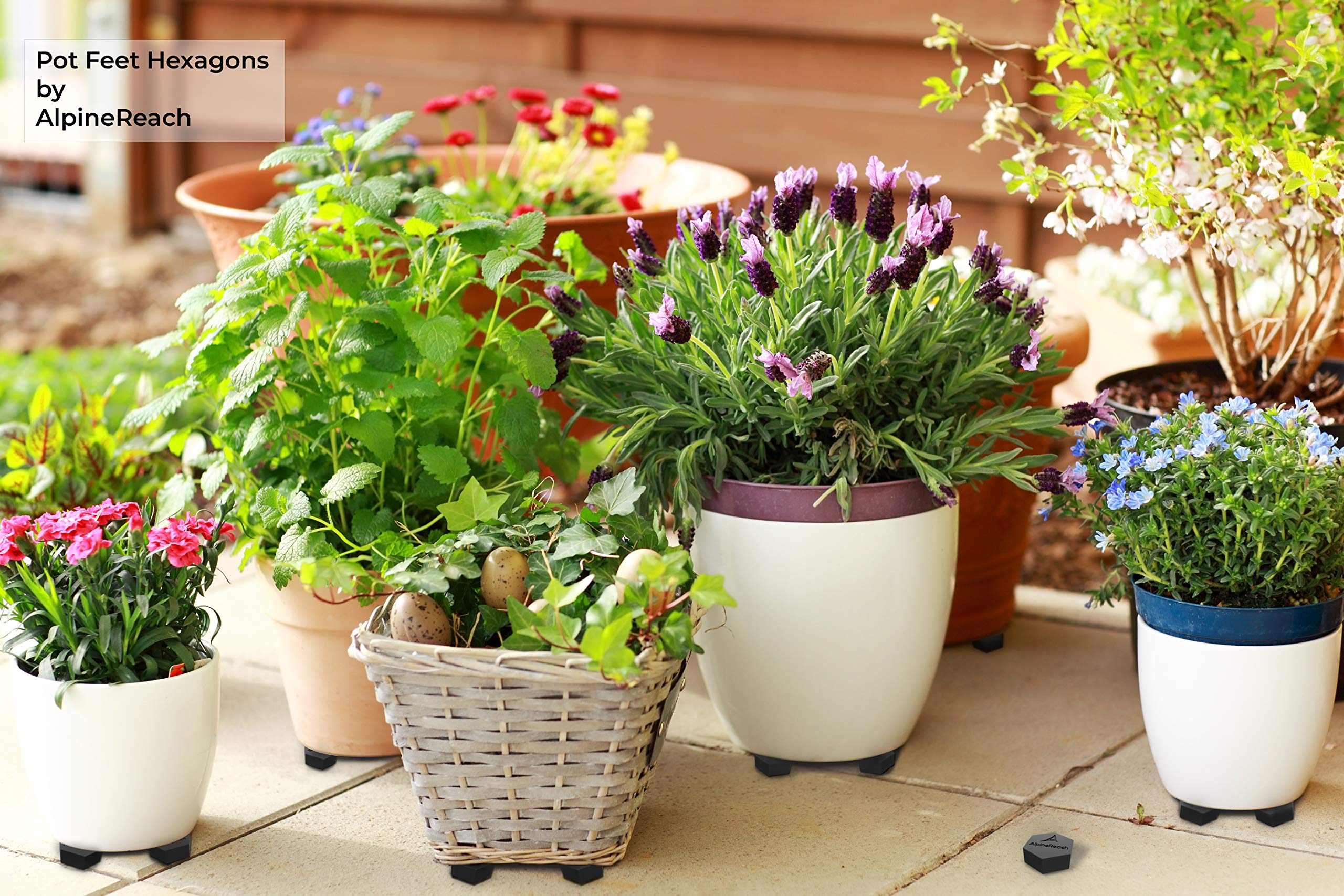 AlpineReach Heavy Duty Pot Feet Risers - 20 Pack Hexagonal Plant Stand Elevators with Adhesive Pads for Outdoor Planters | Strong Invisible Supports for Small & Large Flower Pots | Protect Plants & Improve Drainage | Perfect for Patio, Garden, Deck & Balcony Use
