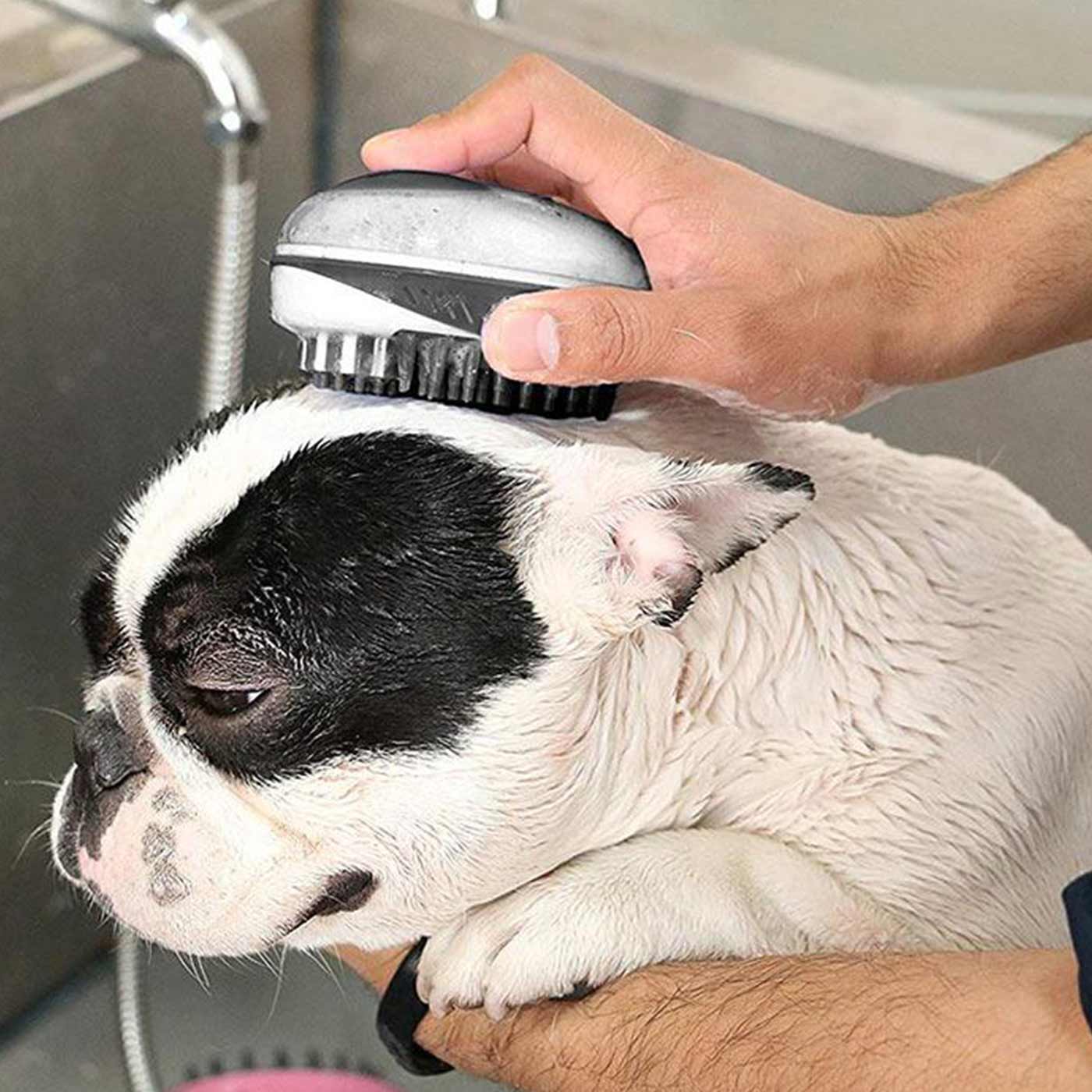 Rosewood 2-in-1 Bath & Grooming Brush for Dogs & Cats - Dual Sided Shedding and Massage Brush for Bath Time & Daily Grooming at Home
