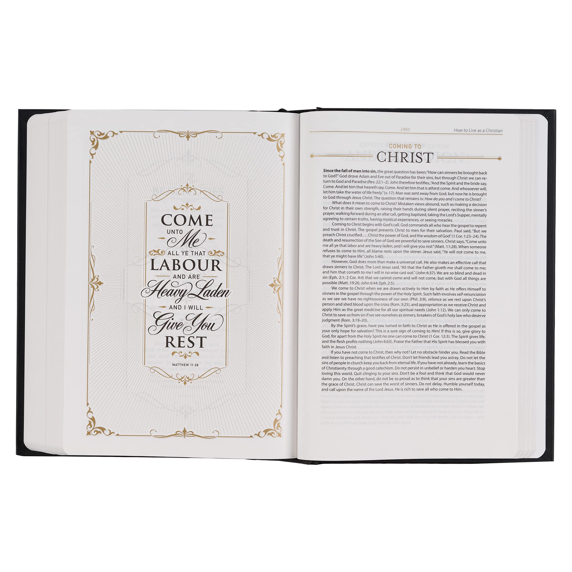 KJV Study Bible - Standard Print Hardcover, King James Version Holy Bible in Black | Perfect for Bible Study, Sunday School & Personal Devotion (KJV Standard Study Editions)