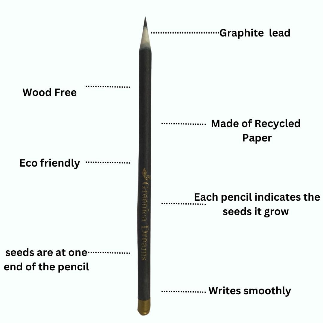 Eco-Friendly Plantable Seed Pencils - 300 Count Black Biodegradable Writing Utensils for Birthday Party Favors, Corporate Gifts & Office Supplies | Sustainable School & Office Use