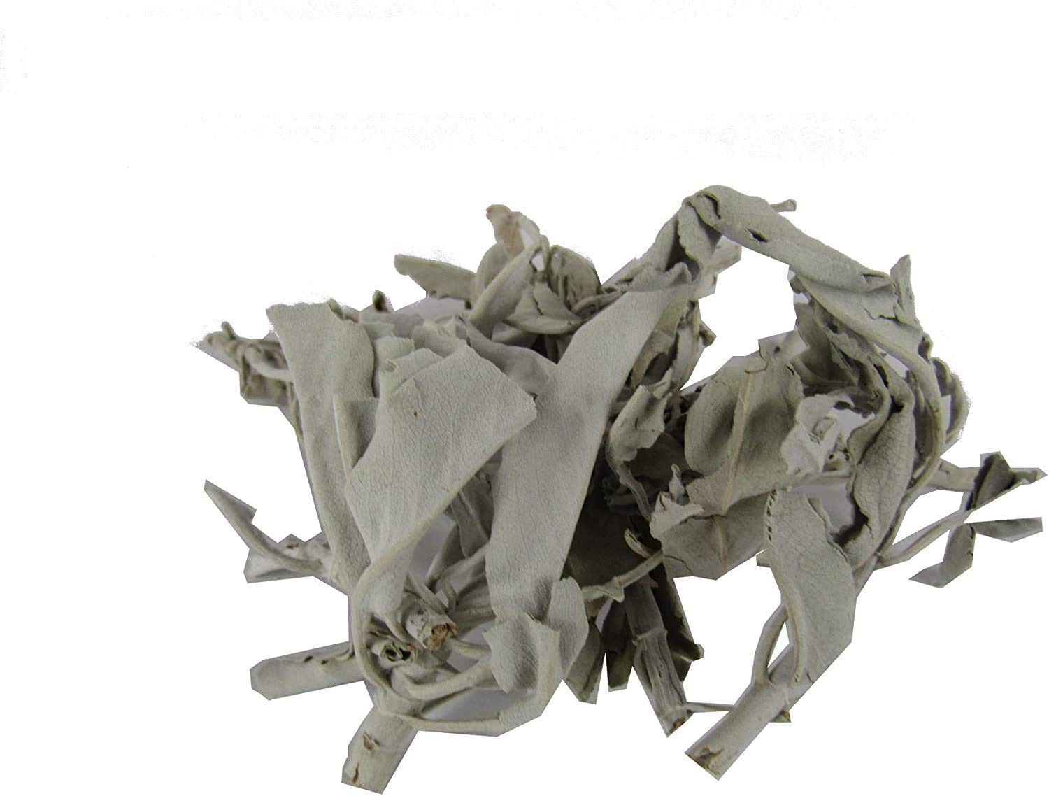 1 Pound White Sage Loose Clusters for Smudging & Cleansing | Natural Spiritual Ceremony, Meditation & Home Purification | CircuitOffice Premium Smudge Sticks