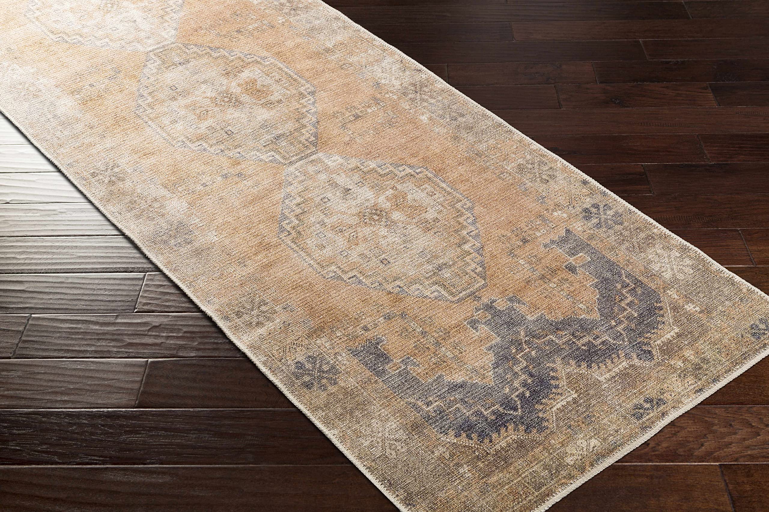 Hauteloom Carrabelle Traditional Machine Washable Area Rug - Blue, Ivory, Brown - 8'10