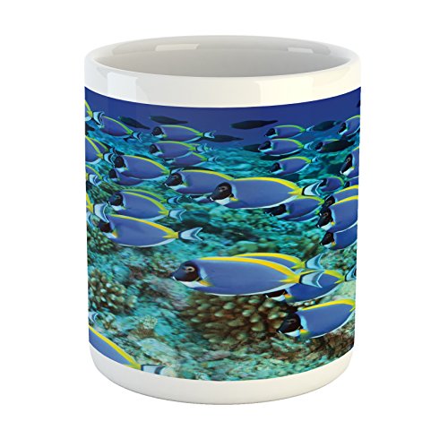 Aqua Blue and Yellow