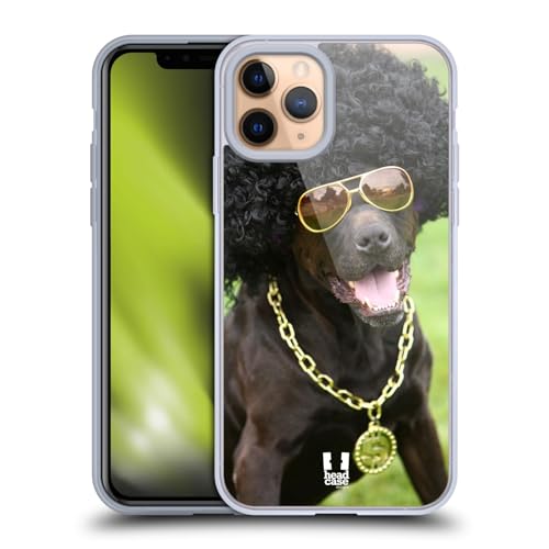 Dog In Funny Costume