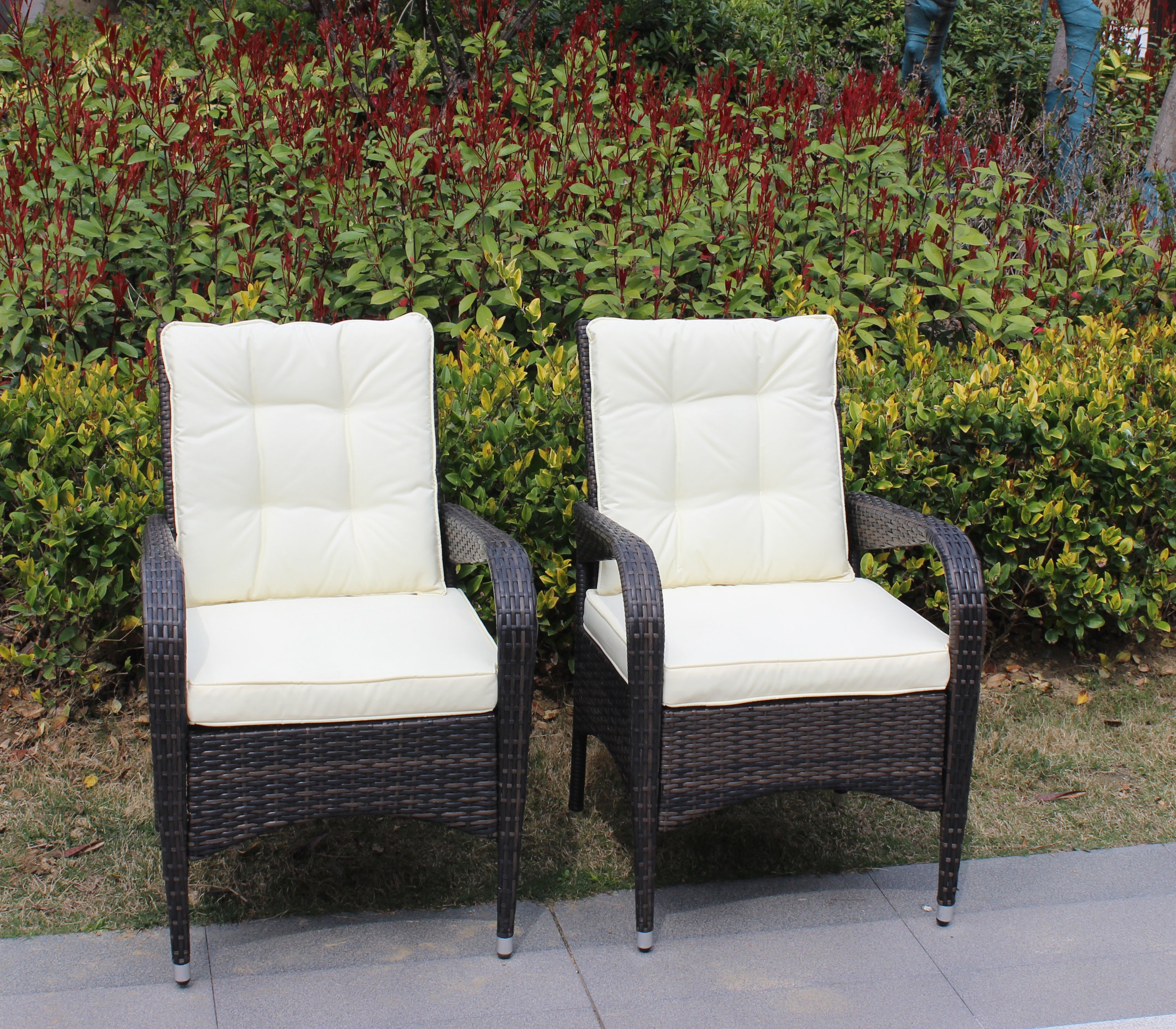 2 Piece Liberatore Dining Chairs with Beige Cushions - Modern Kitchen & Dining Room Furniture Set for Home Decor