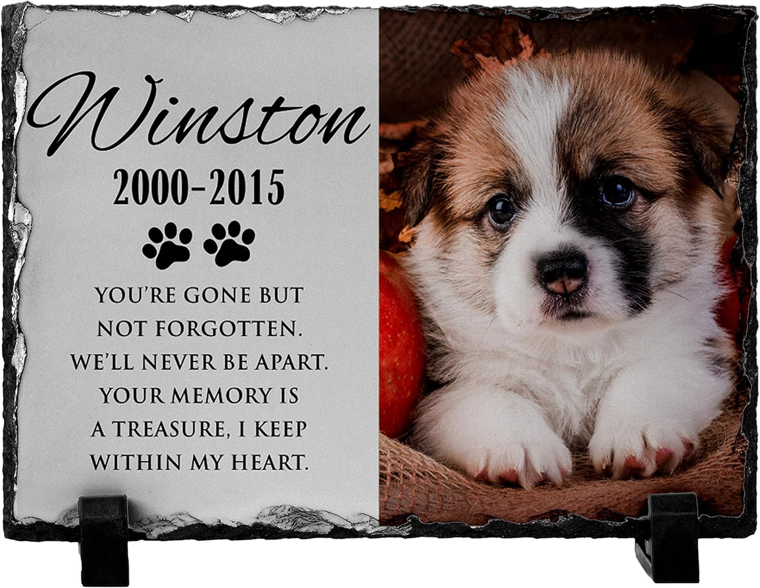 Custom Engraved 8x12 Granite Dog Memorial Stone with Photo - Personalized Pet Memorial Plaque for Dogs & Cats - Indoor & Outdoor Pet Grave Marker - Perfect Sympathy Gift for Pet Loss | Backyard Memorial, Garden Tribute, Pet Cemetery Headstone