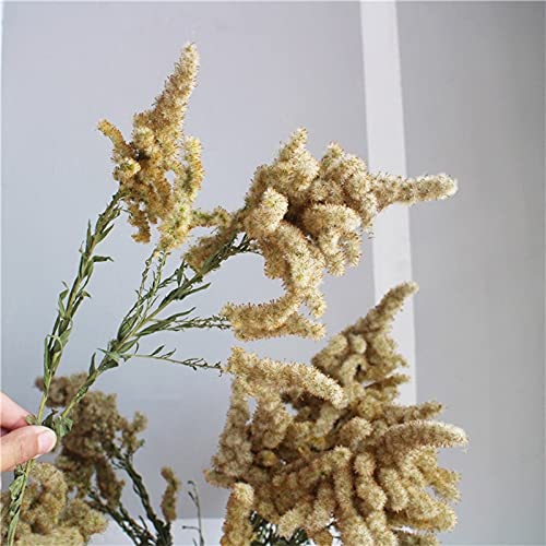 3pcs Solidago Altissima Dried Flowers - Natural Christmas Tree Shaped Decor for Holiday Home, Wedding, Table Centerpiece & DIY Crafts | Real Dried Goldenrod Plants Bunch
