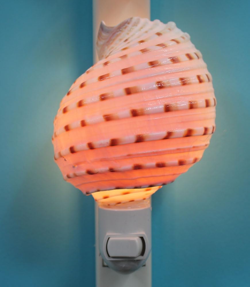 Spotted Tona Shell Night Light - Decorative LED Bedside Lamp for Nursery, Kids Room & Home Decor | Perfect for Bedtime, Relaxation & Creating Cozy Atmosphere