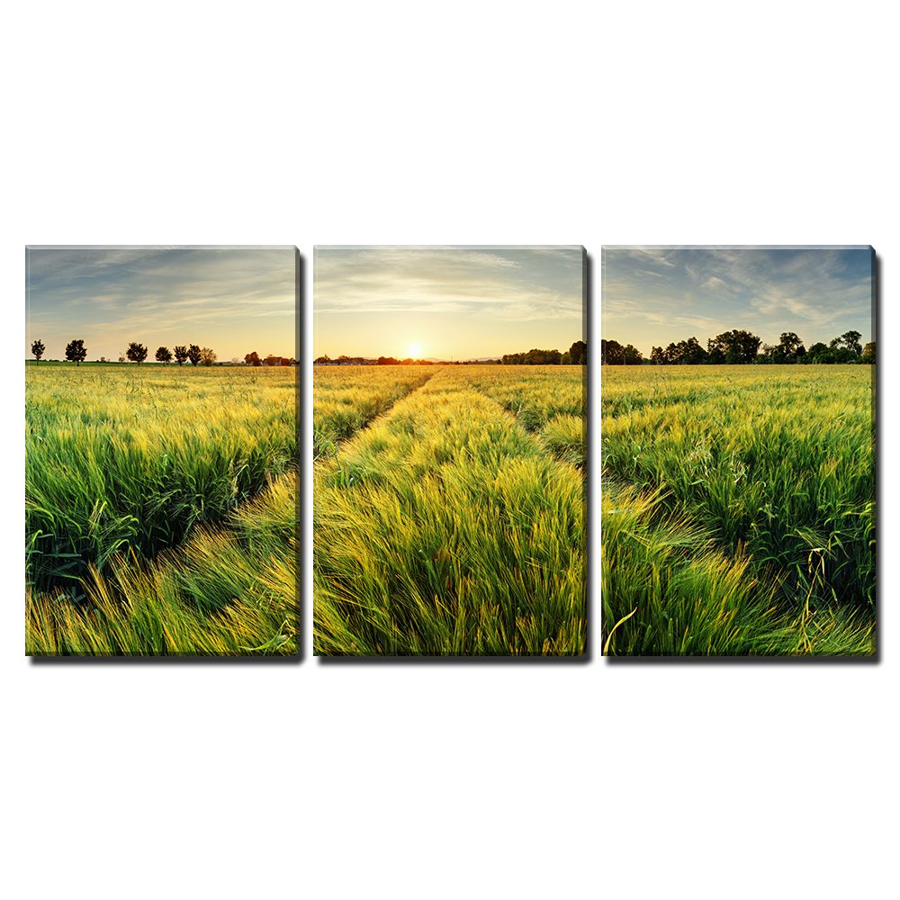 Wall26 - 3 Piece Canvas Wall Art Set - Sunset Wheat Field Rural Landscape Painting - Stretched & Framed Modern Home Decor - 16