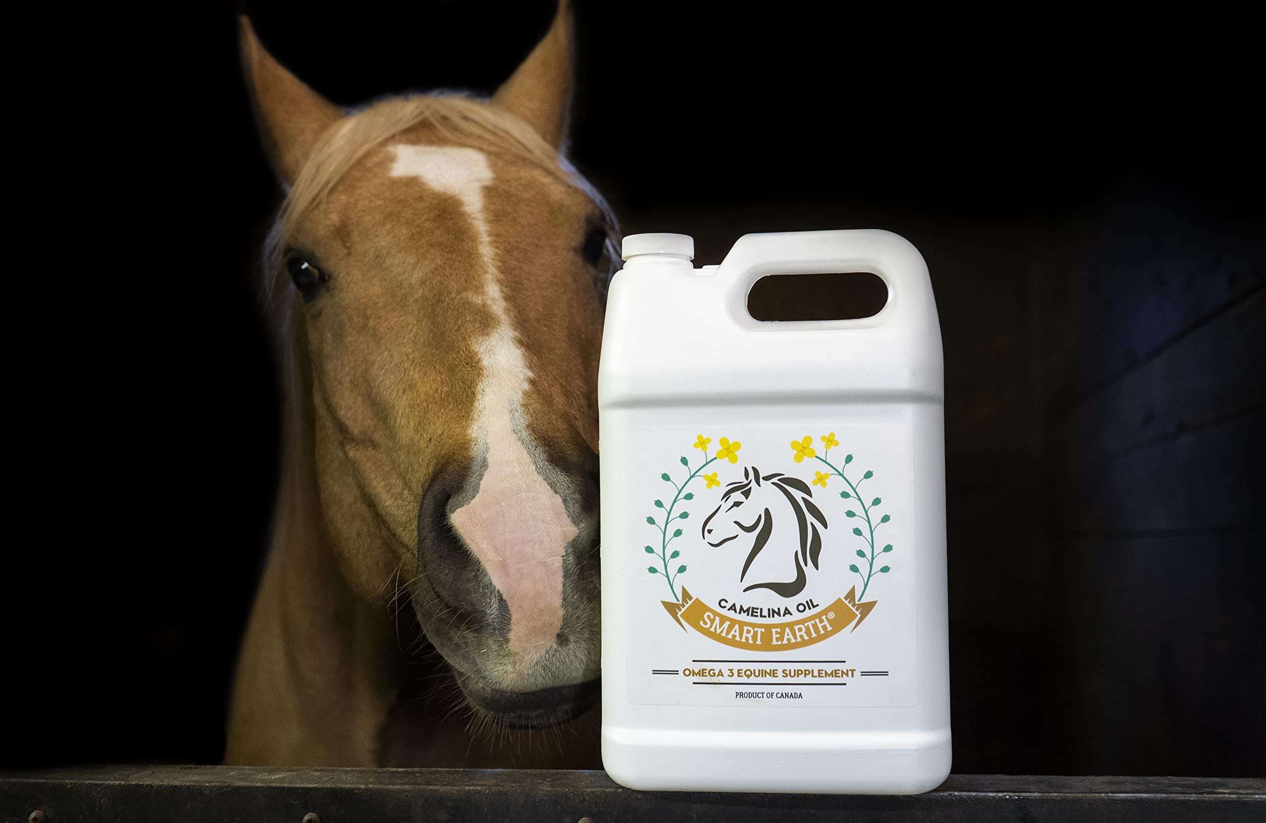 100% Pure Camelina Oil for Horses - Omega 3 & Vitamin E Rich Supplement for Healthy Coat, Strong Hooves, Joint Support & Weight Gain - Cold-Pressed False Flaxseed Oil with Pump - Made in Canada by Smart Earth - 1 Gallon - Perfect for Daily Equine Nutrition & Senior Horse Care