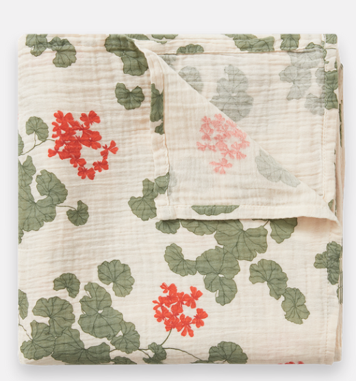 PELARGONIUM