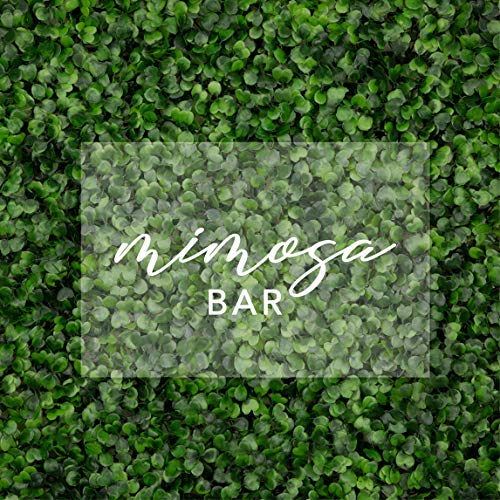 Mimosa Bar Horizontal