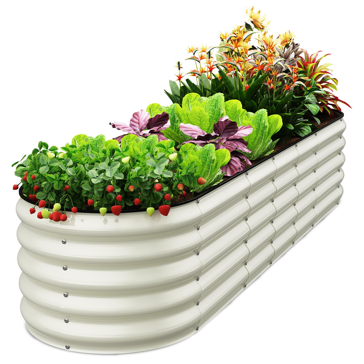Galvanized Steel Oval Raised Garden Bed Kit - 8x2x1.5 FT Large Metal Planter Box for Vegetables, Flowers & Herbs | Outdoor Gardening Solution | Pearl White Finish | Perfect for Backyards, Patios & Urban Farming