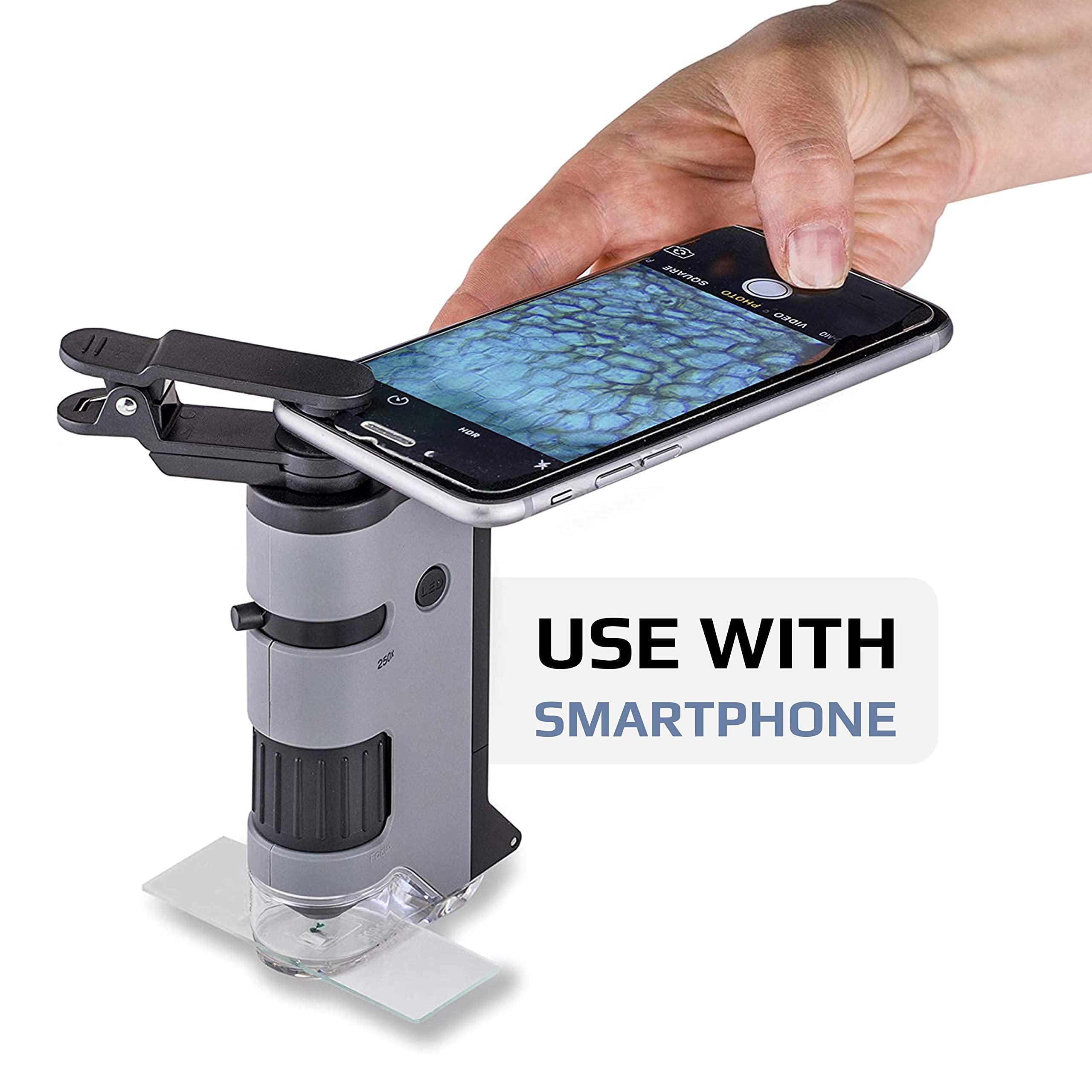 Carson Microflip 100 250x LED Pocket Microscope - Portable Handheld Magnifier for Coin Collecting, Jewelry Inspection & Science Exploration (Black) | Perfect for Kids, Students & Hobbyists