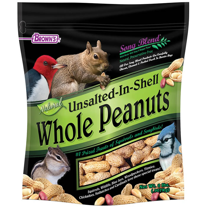 Brown's Unsalted In-Shell Whole Peanuts - 10 Pound Bulk Bag | Raw Natural Peanuts for Snacking, Baking & Bird Feeding | Perfect for Parties, Trail Mix & Wildlife Food
