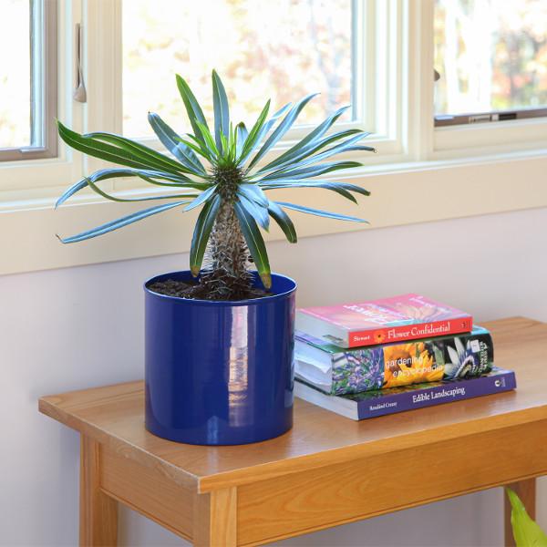 Eileen Planter with Steel Patina Pot - Modern Indoor/Outdoor Flower Pot for Home Decor, Office Plants & Garden Decorations
