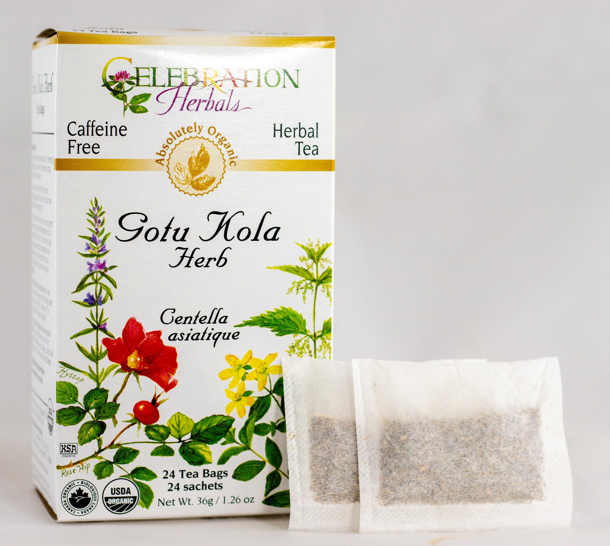 Celebration Herbals Organic Gotu Kola Tea Bags - 24 Count | Herbal Wellness Tea for Memory & Circulation | Perfect for Relaxation & Focus