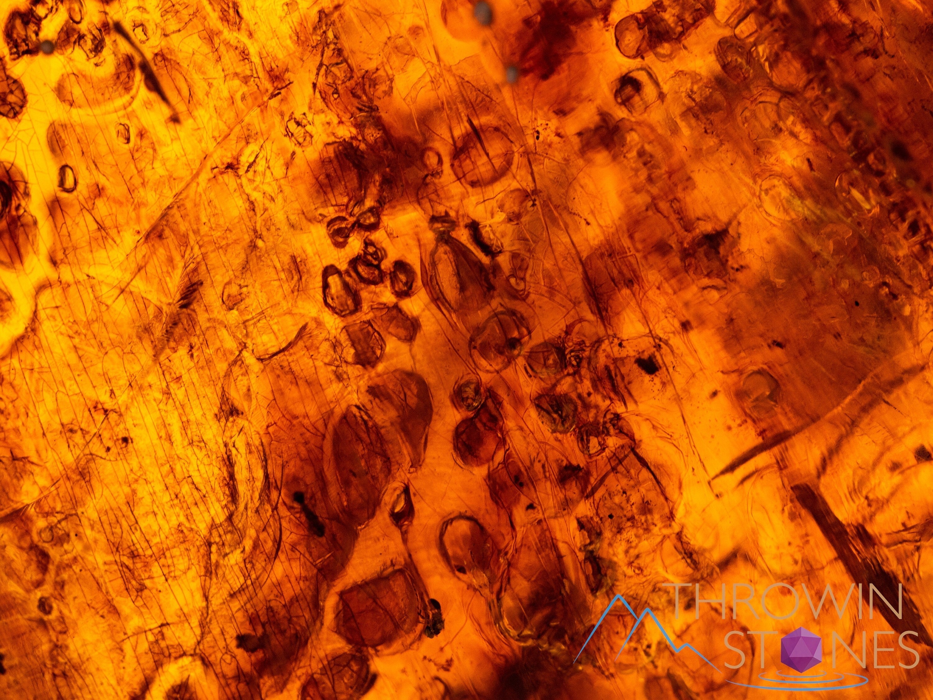AMBER Stone with Real Insect Fossil - Polished Tumbled Stones & Healing Crystals for Jewelry Making, Meditation & Home Decor (52725)