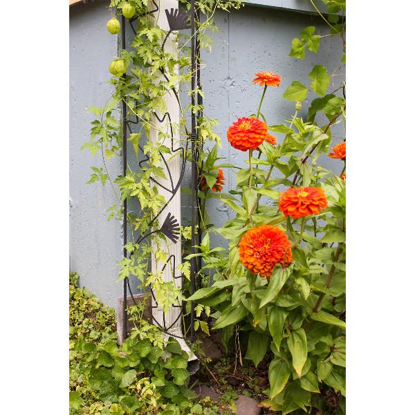Downspout Garden Trellis - Expandable Metal Climbing Plant Support for Vines, Flowers & Vegetables | Perfect for Rainwater Drainage, Vertical Gardening & Small Space Solutions