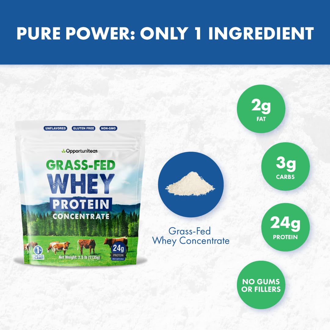 Grass Fed Whey Protein Powder Concentrate - Pure 1-Ingredient Protein Supplement for Smoothies, Shakes & Baking | Non-GMO, Hormone Free, Gluten Free | 2.5 lbs | Post-Workout Recovery & Healthy Meal Replacement